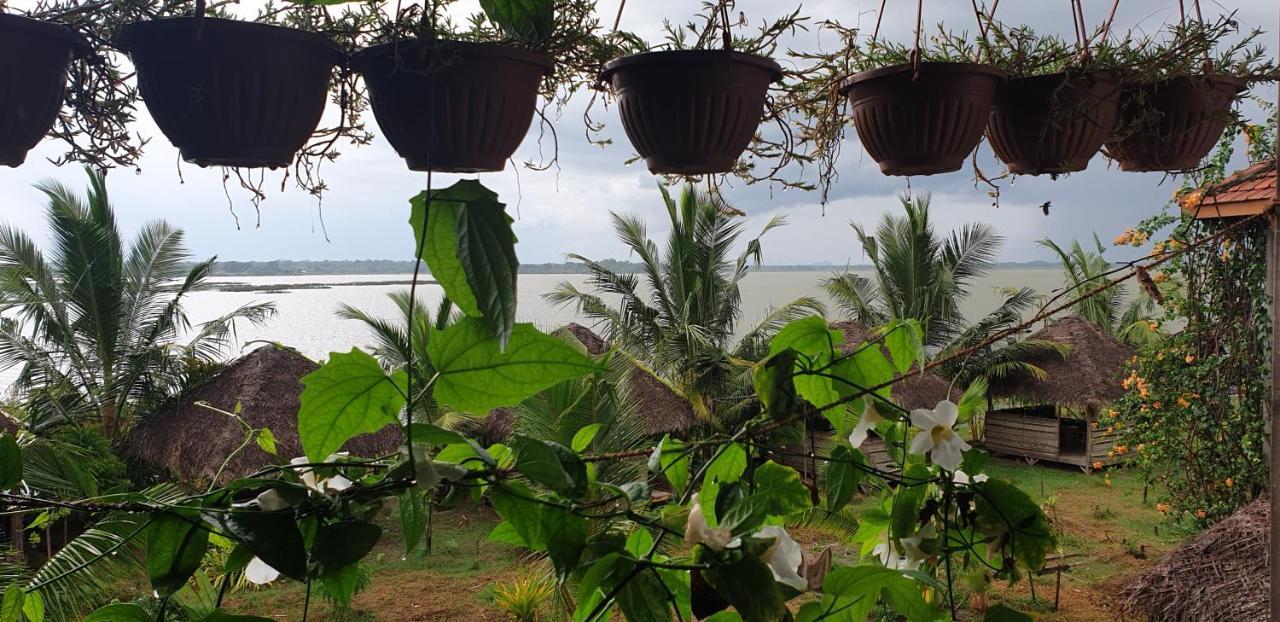 Hotel Rise & Set Arugam Bay Exterior foto