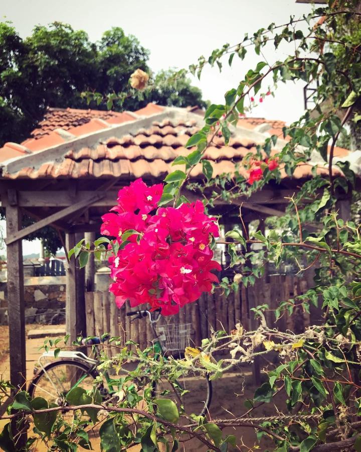 Hotel Rise & Set Arugam Bay Exterior foto