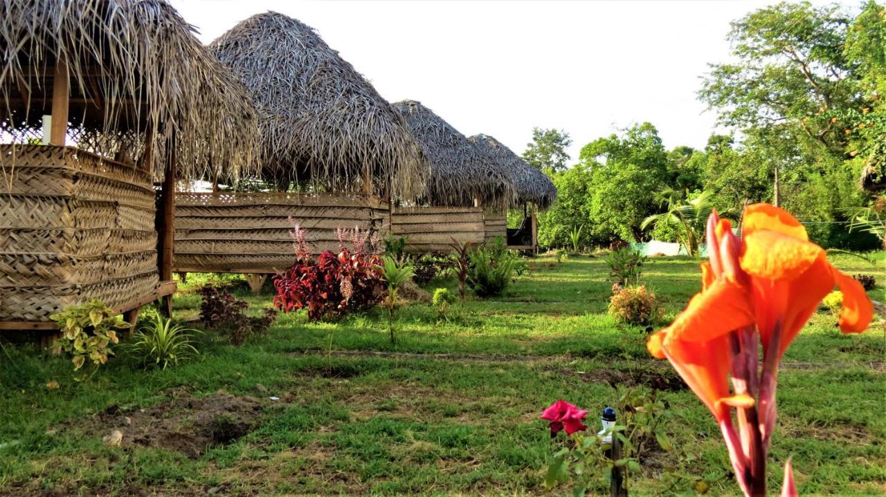 Hotel Rise & Set Arugam Bay Exterior foto